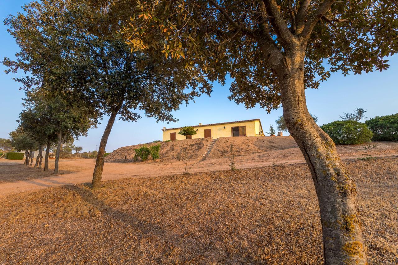 Molti Mari B&B Resort Olbia Exteriör bild